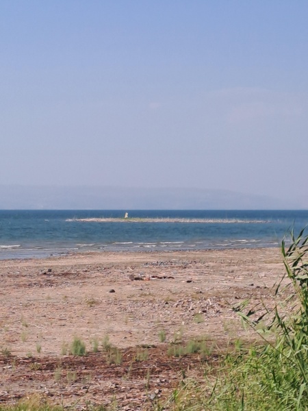 קובץ:2025-09-04T16 43 43.662687845610.jpg