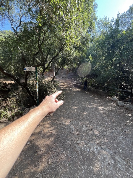 קובץ:2025-09-06T09 23 17.735844106965.jpg
