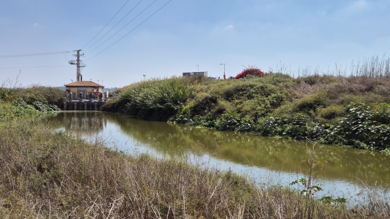 קובץ:2025-09-06T10 53 37.593035716309.jpg