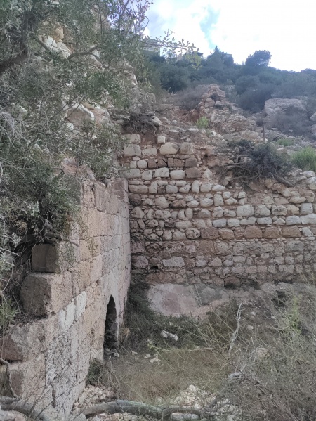 קובץ:2025-09-08T16 53 04.120966134870.jpg