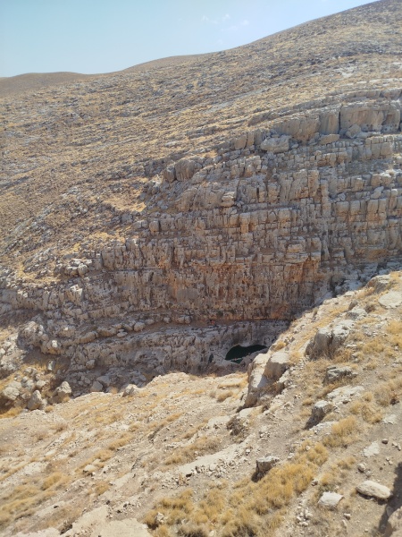 קובץ:2025-10-05T17 41 07.896744972727.jpg