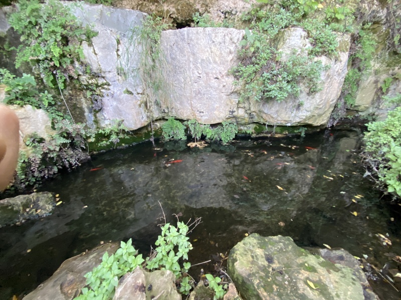 קובץ:2025-11-24T09 53 43.621917740196.jpg