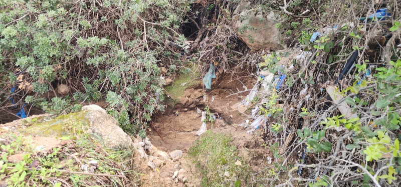 קובץ:2025-12-15T09 53 24.908728418316.jpg