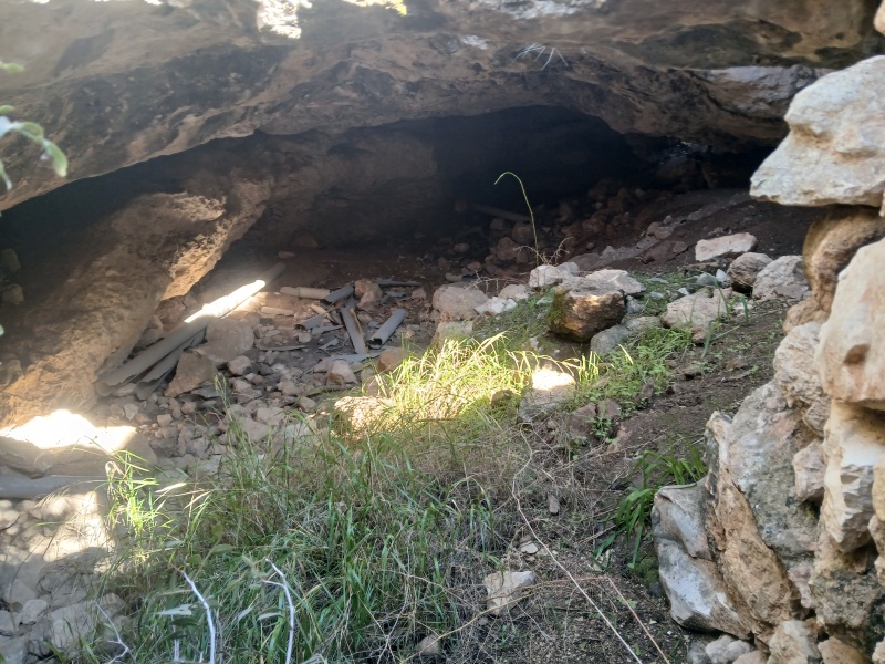 קובץ:2025-12-18T12 53 43.328723517266.jpg