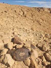 2025-12-21T12 53 08.230780894197.jpg