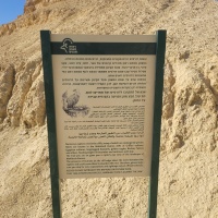 2025-12-26T11 53 36.627942334033.jpg