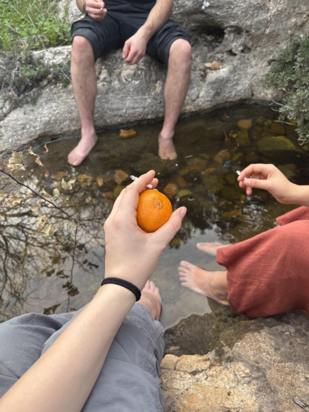 קובץ:2026-01-08T15 53 57.041251977223.jpg