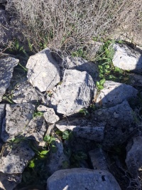 2026-01-11T09 53 09.956321849162.jpg