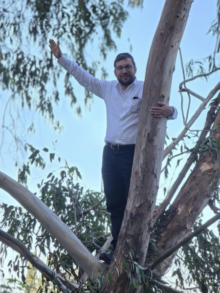 קובץ:2026-01-11T11 53 35.683067497894.jpg