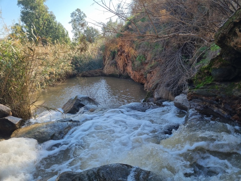 קובץ:2026-01-16T09 53 02.640733478548.jpg