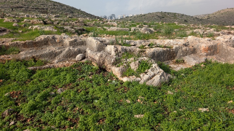 קובץ:2026-01-23T09 53 30.484678311315.jpg