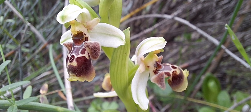 קובץ:2026-01-24T07 53 06.24311278947.jpg