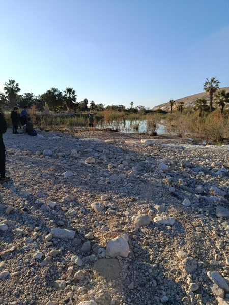 קובץ:2026-02-04T16 12 26.614151753619.jpg