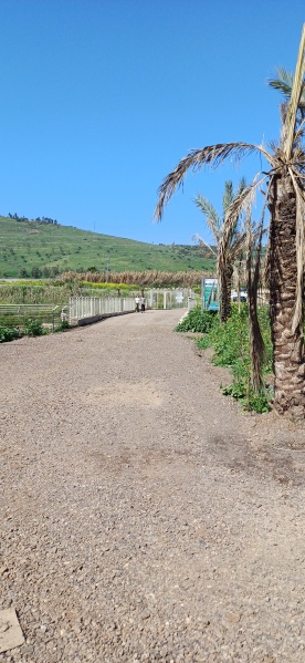 קובץ:2026-02-20T11 16 55.994570868802.jpg