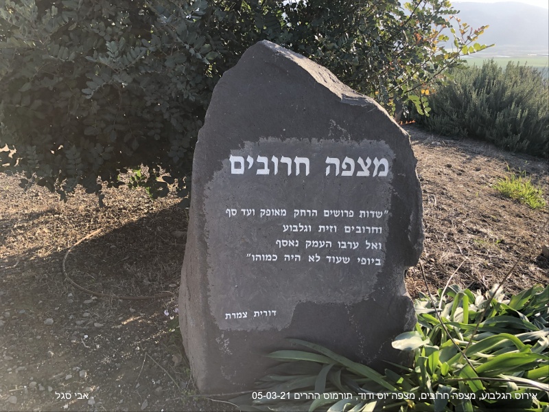 קובץ:31-IMG 0582.jpg