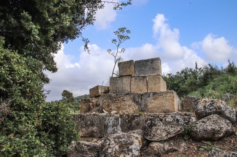 קובץ:3villages (61 of 94).jpg