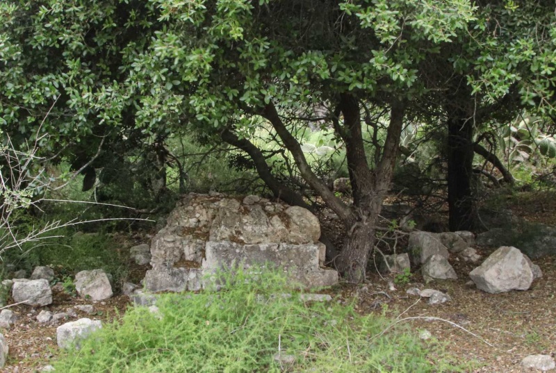 קובץ:3villages (66 of 94).jpg