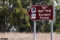 תמונה ממוזערת לגרסה מתאריך 21:45, 12 באפריל 2012