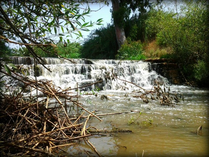 קובץ:941850 415689148528440 115400473 n.jpg