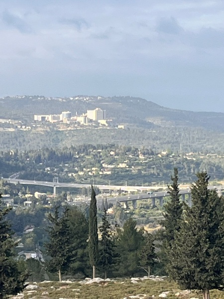 קובץ:9 Image 2026-05-05.jpeg