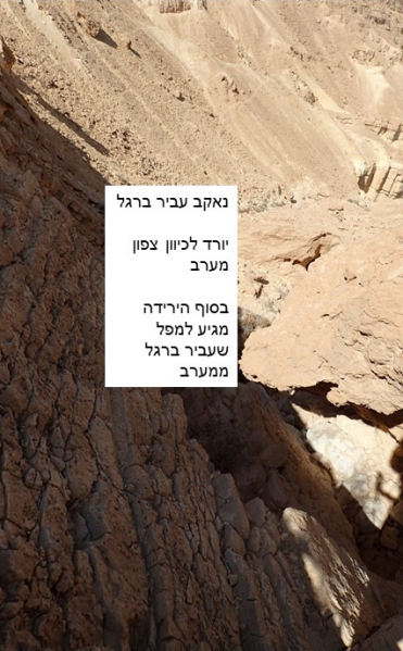 קובץ:ARDON 1.png