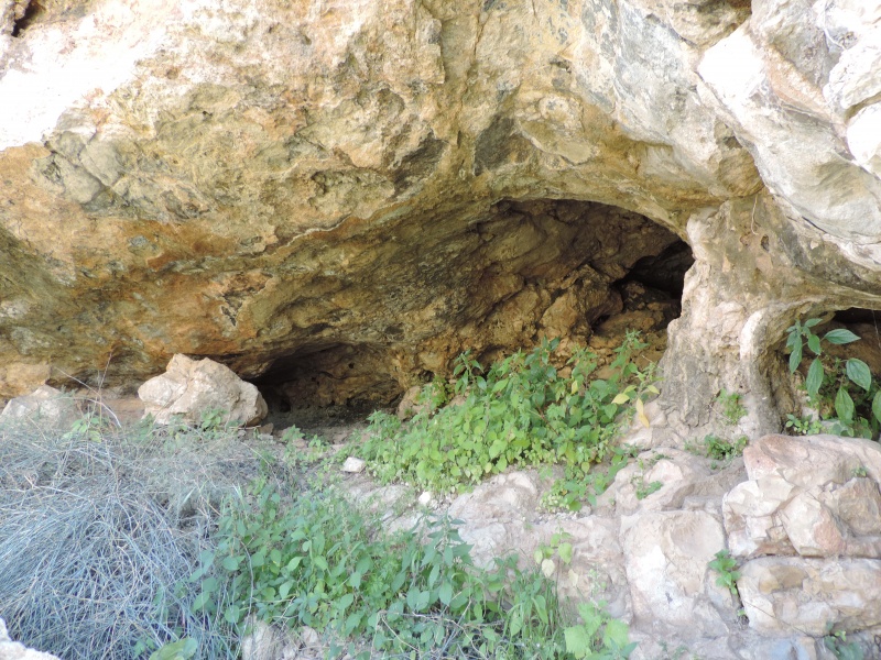 קובץ:CAVE.JPG