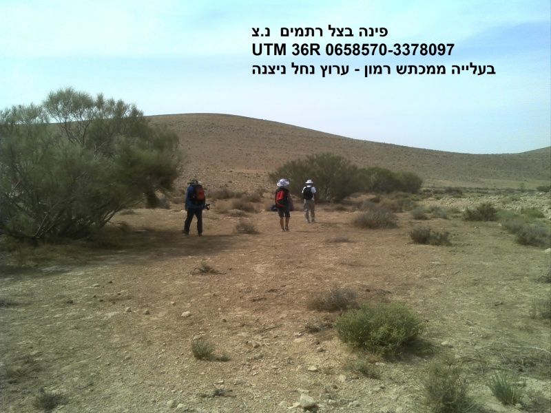 קובץ:DSC00033.jpg