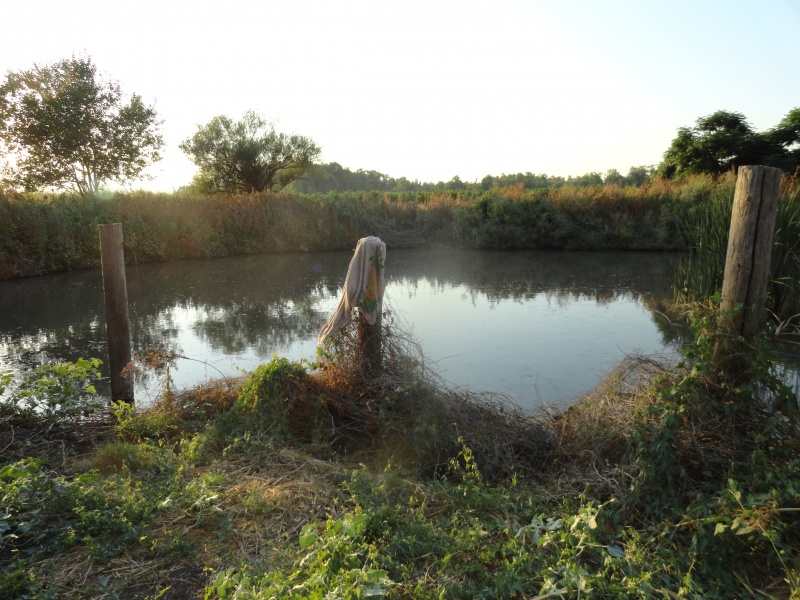 קובץ:DSC00k.JPG