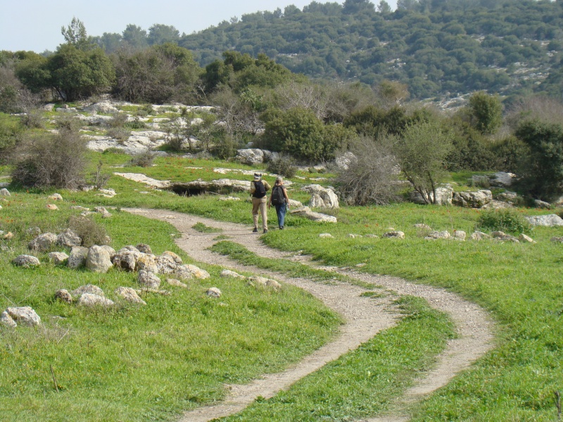 קובץ:DSC01915.JPG