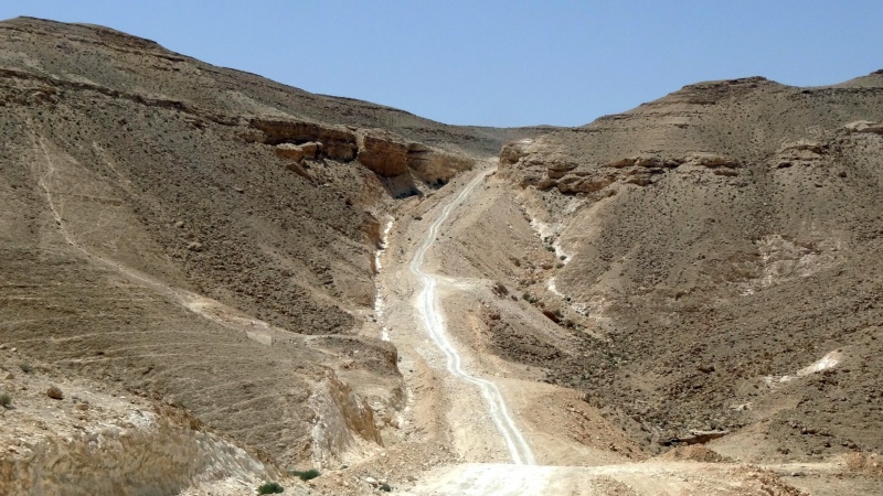 קובץ:DSC02515 (Large).JPG