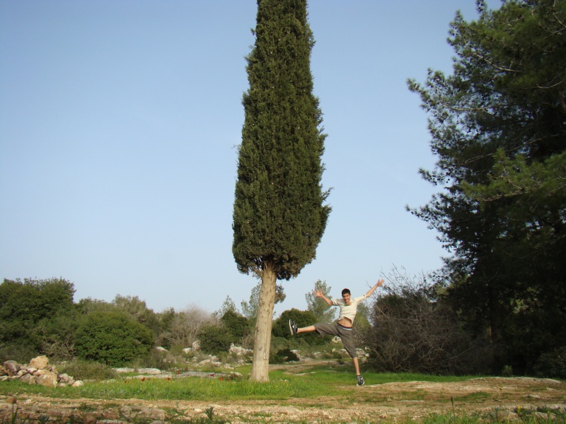 קובץ:DSC03201.JPG