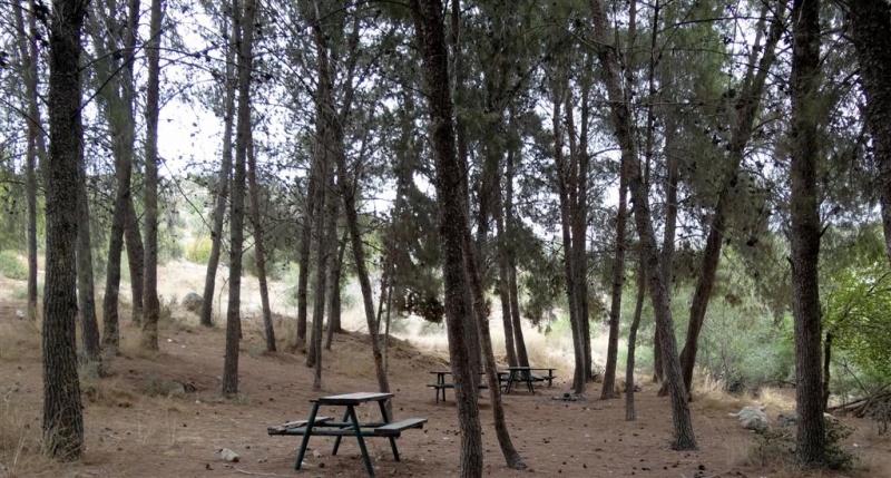 קובץ:DSC04749 (Large).JPG