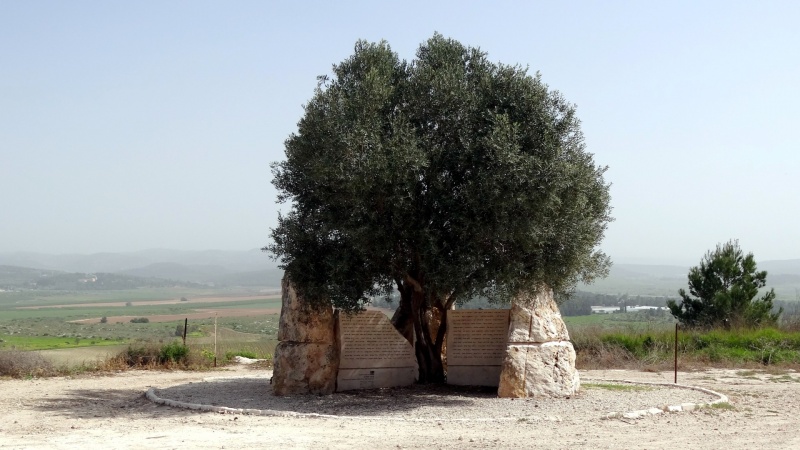 קובץ:DSC07968 (Large).JPG