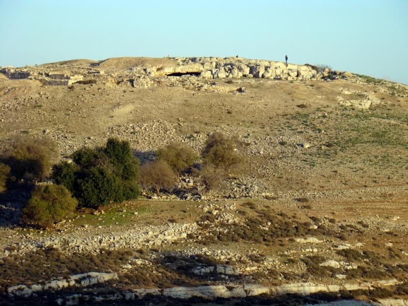 קובץ:DSC09041.JPG