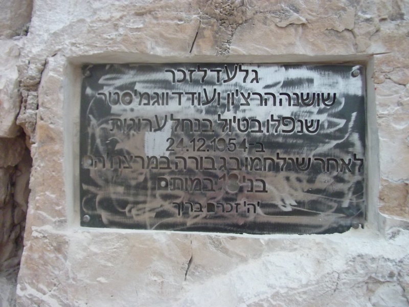 קובץ:DSCF2070.JPG