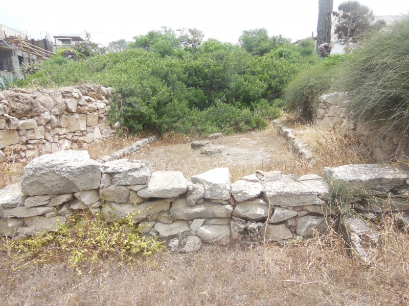 קובץ:DSCN1089.JPG