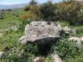 תמונה ממוזערת לגרסה מתאריך 10:15, 15 במאי 2016