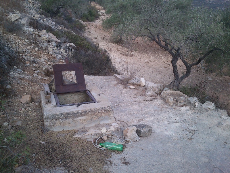 קובץ:DSC 0007.JPG