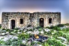 EOS 6D53937 38 39 40 41Painterly3 ps.jpg