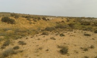 Embankment of the western train branch to Bir Asluj 1.jpg