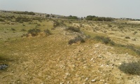 Embankment of the western train branch to Bir Asluj 2.jpg