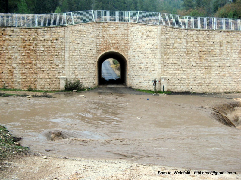 קובץ:Emeck Refaimflood.JPG