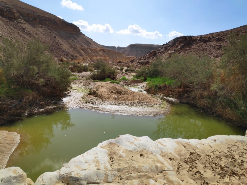 קובץ:H-20191117-WA0004 2.jpg