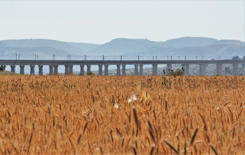 קובץ:IMG 1411.JPG