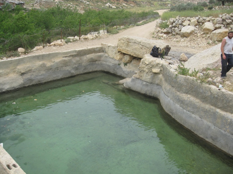 קובץ:IMG 1832.JPG