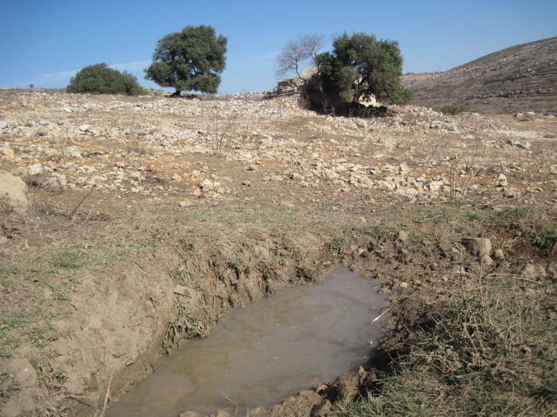 קובץ:IMG 1902.JPG