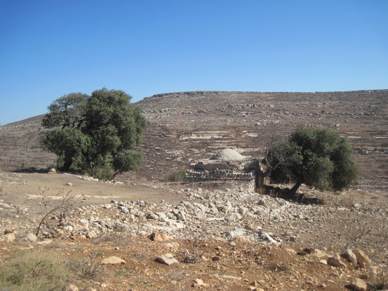 קובץ:IMG 1903.JPG