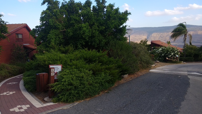 קובץ:IMG 20190718 175854.jpg