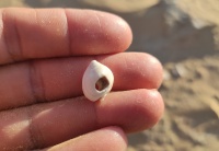 IMG 20230705 182517 - Copy.jpg