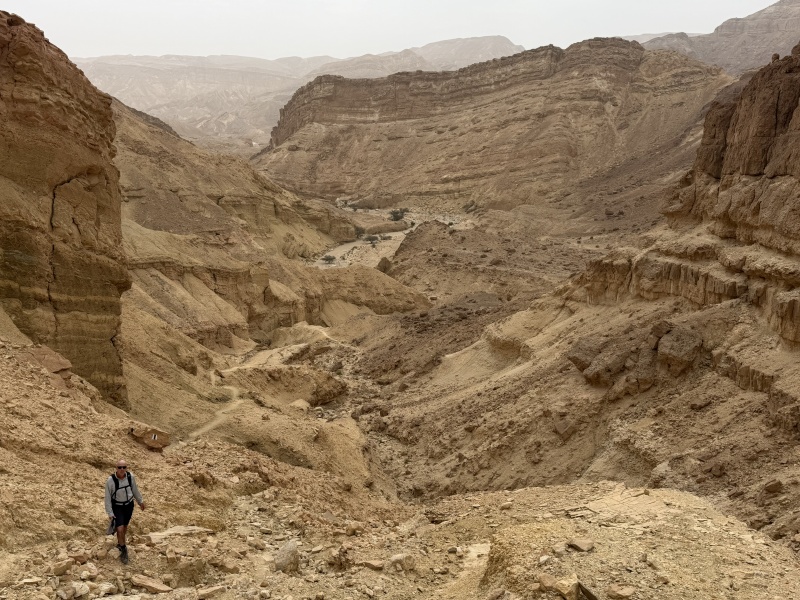 קובץ:IMG 2872.jpeg